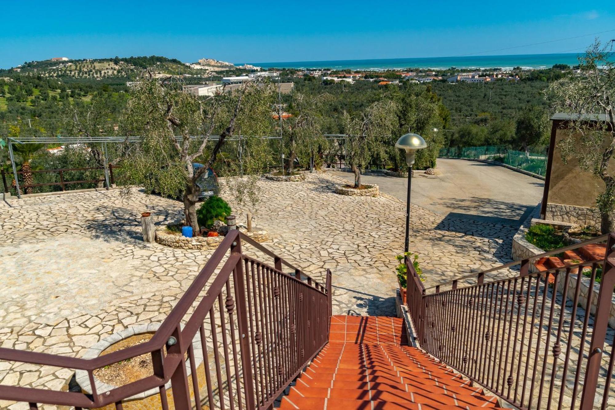 Villa Mapa - Appartamenti Vicino Al Mare Vieste Exterior foto